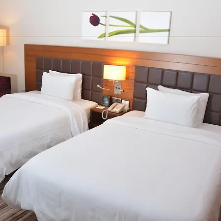 Hilton Garden 5*