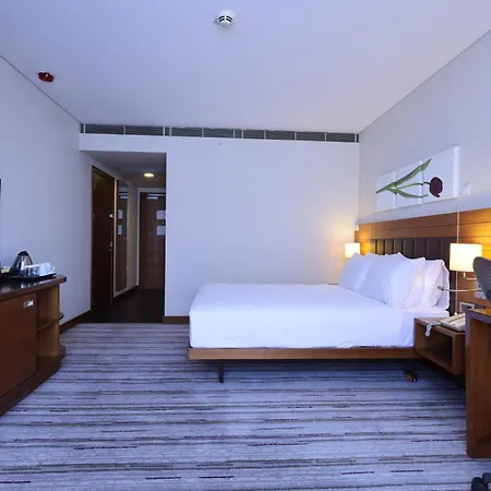 Hilton Garden